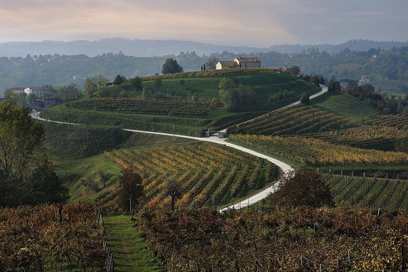 itinerari strada conegliano valdobbiadene ph pietro chiodero 22