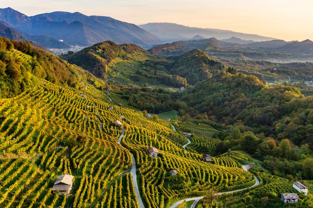 Paesaggio del Conegliano Valdobbiadene Prosecco2 Arcangelo Piai